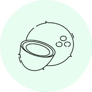 Coconut oil icon