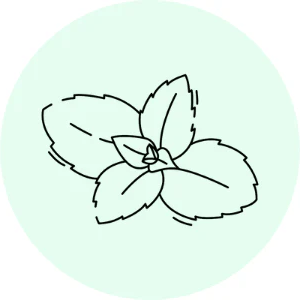 Peppermint oil icon