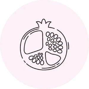 Pomegranate extract icon